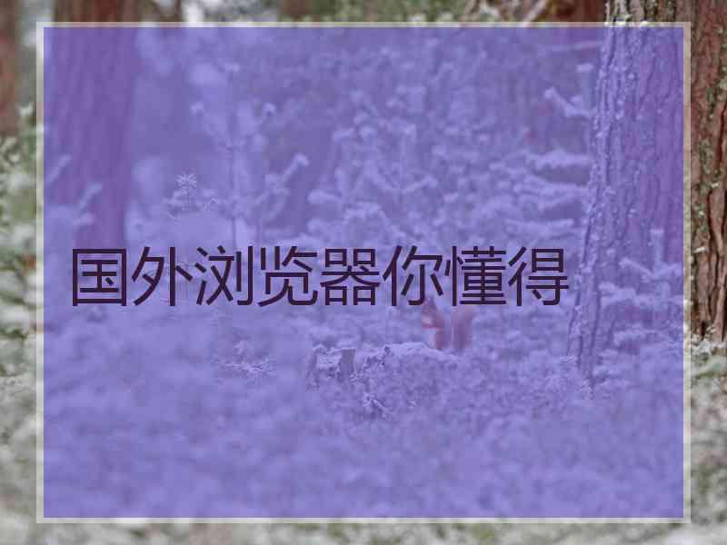 国外浏览器你懂得