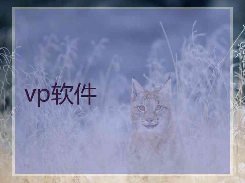 vp软件
