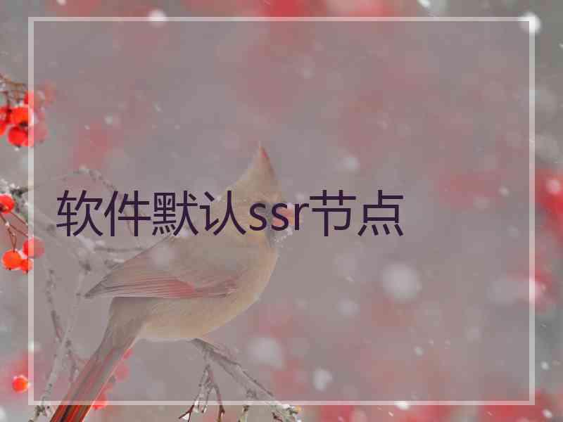 软件默认ssr节点