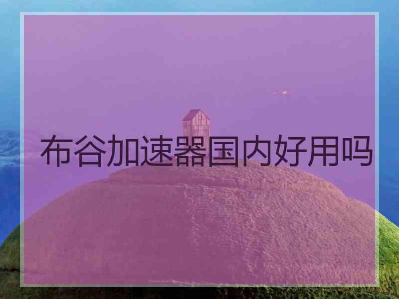 布谷加速器国内好用吗