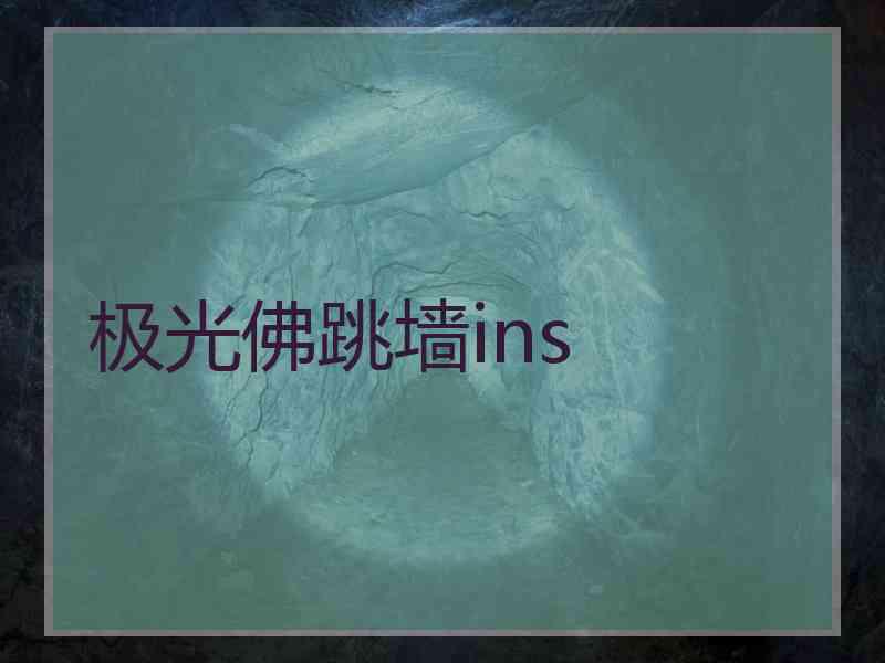 极光佛跳墙ins