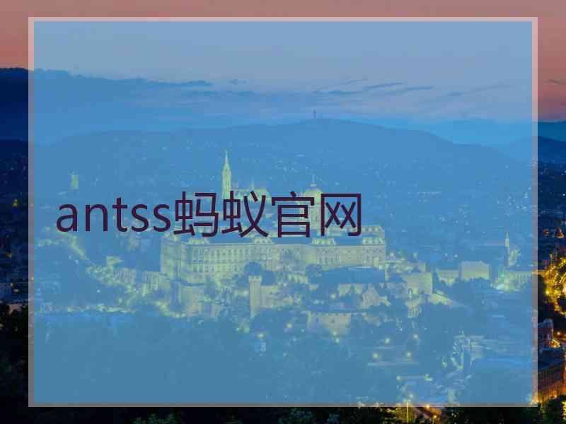 antss蚂蚁官网