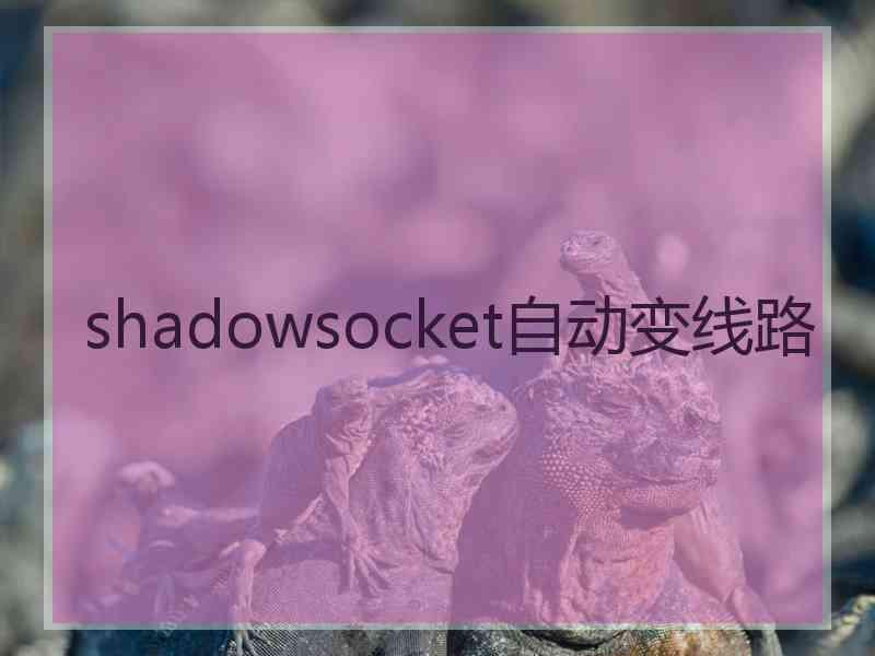 shadowsocket自动变线路