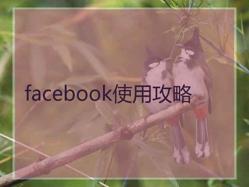 facebook使用攻略