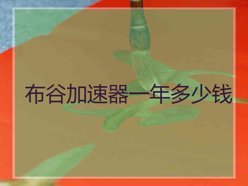 布谷加速器一年多少钱