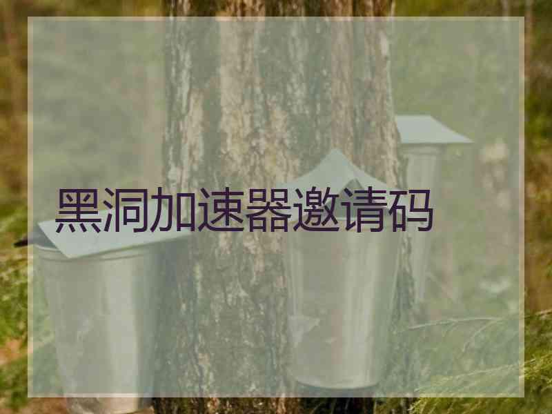 黑洞加速器邀请码