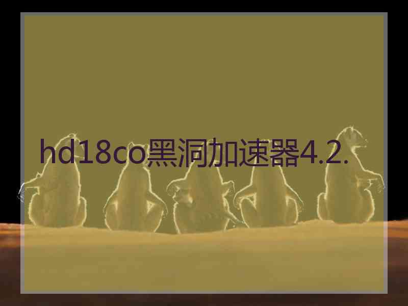 hd18co黑洞加速器4.2.
