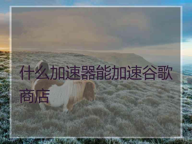 什么加速器能加速谷歌商店