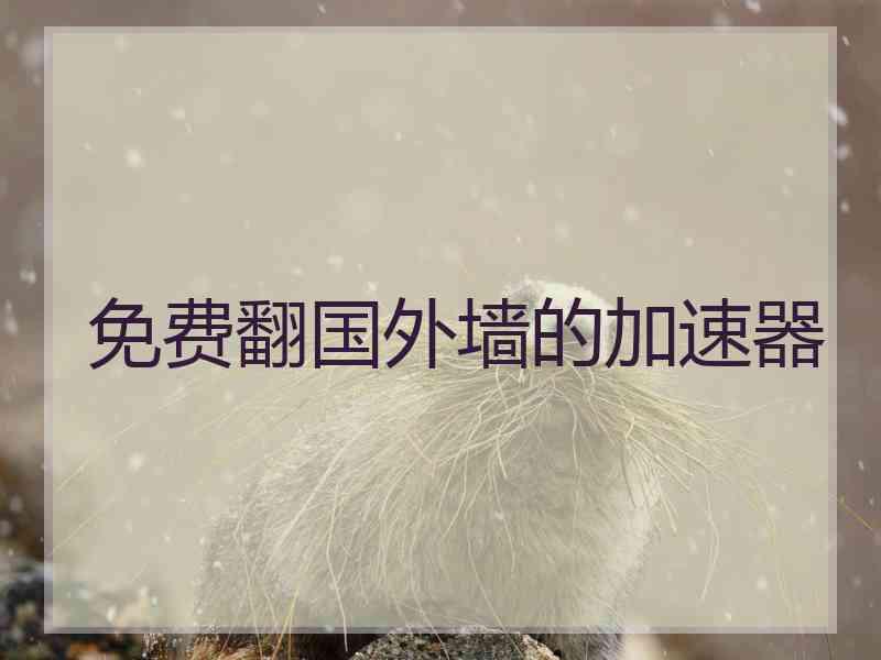 免费翻国外墙的加速器