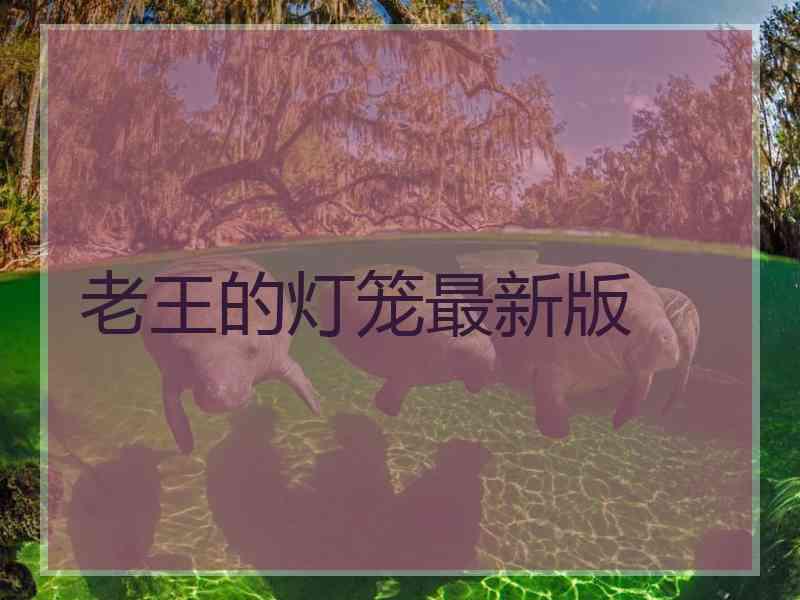 老王的灯笼最新版