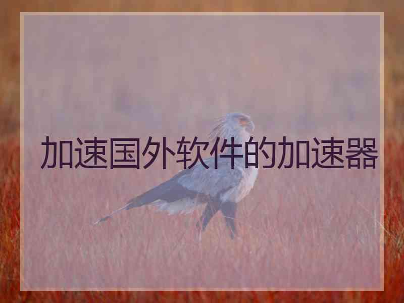 加速国外软件的加速器