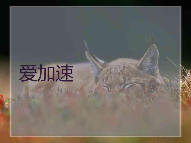 爱加速