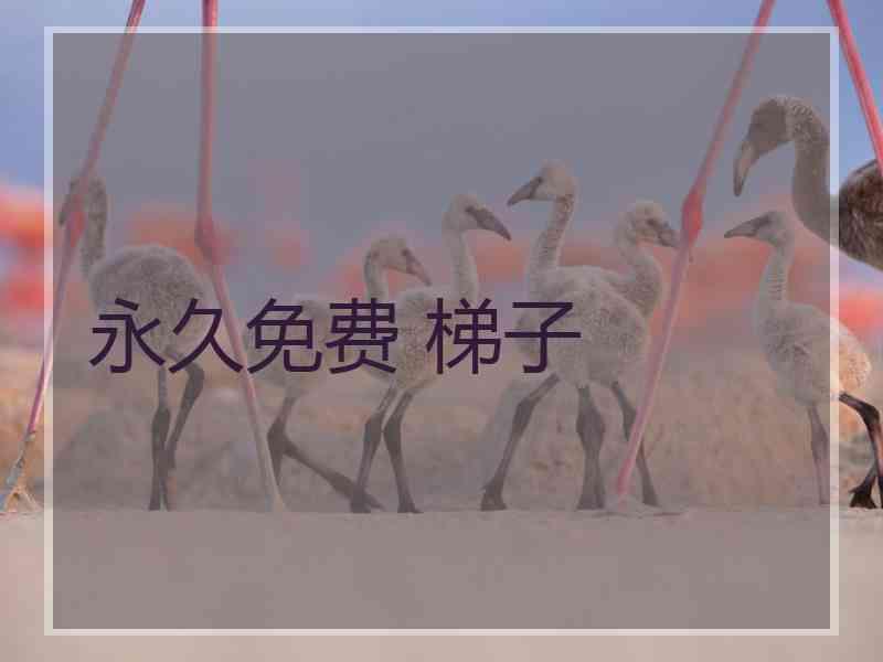 永久免费 梯子