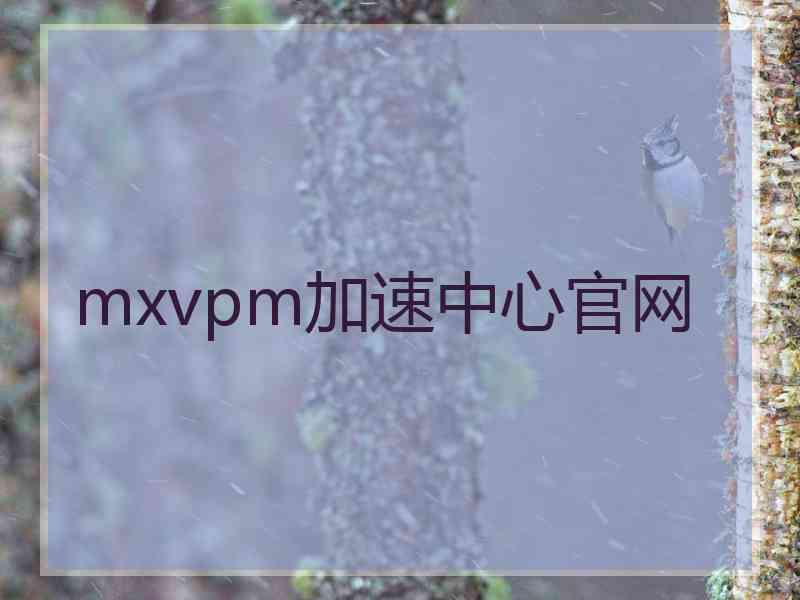 mxvpm加速中心官网