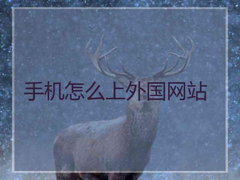 手机怎么上外国网站