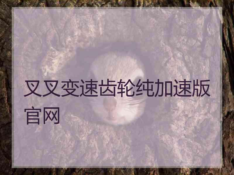 叉叉变速齿轮纯加速版官网