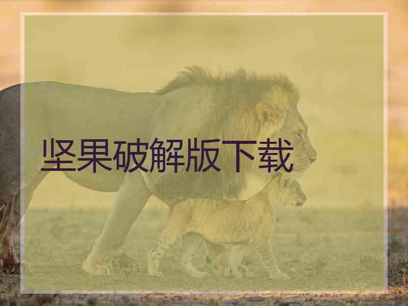 坚果破解版下载