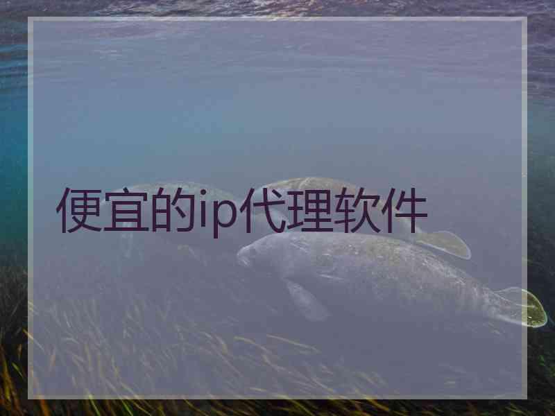 便宜的ip代理软件