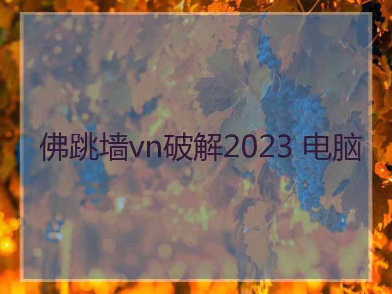 佛跳墙vn破解2023 电脑