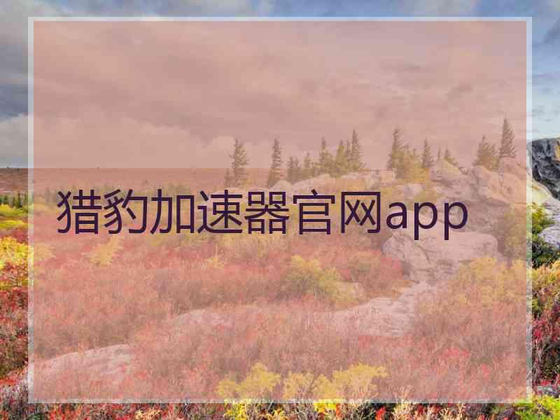猎豹加速器官网app