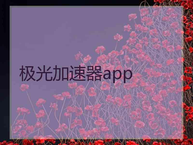 极光加速器app