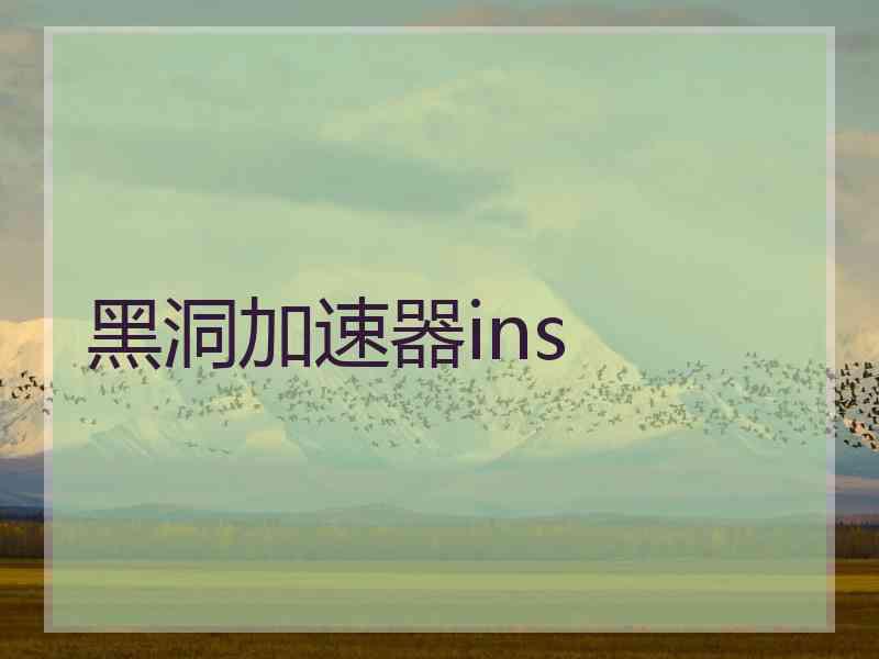 黑洞加速器ins
