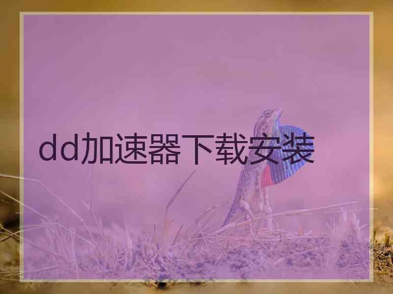 dd加速器下载安装
