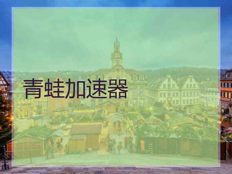 青蛙加速器