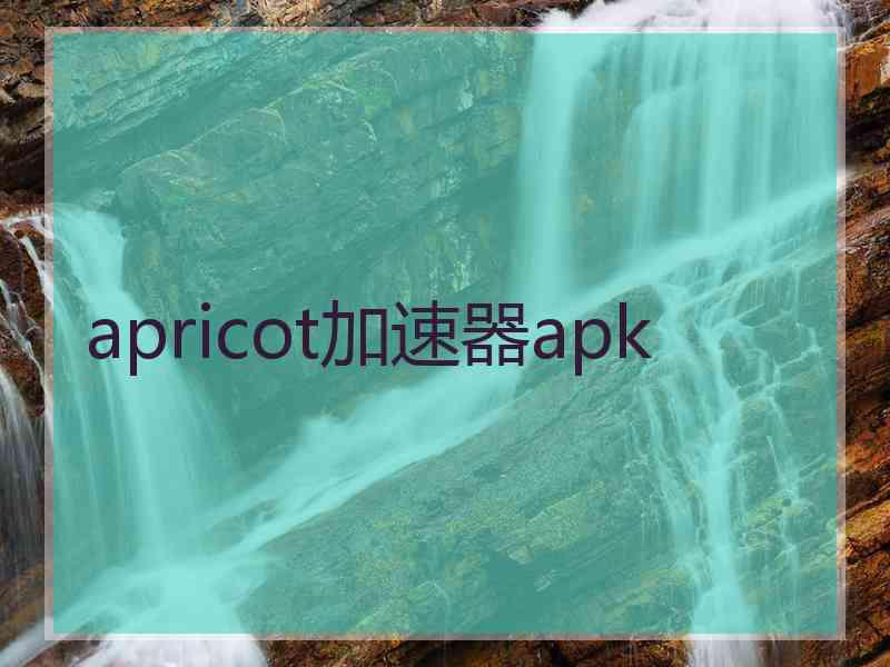 apricot加速器apk