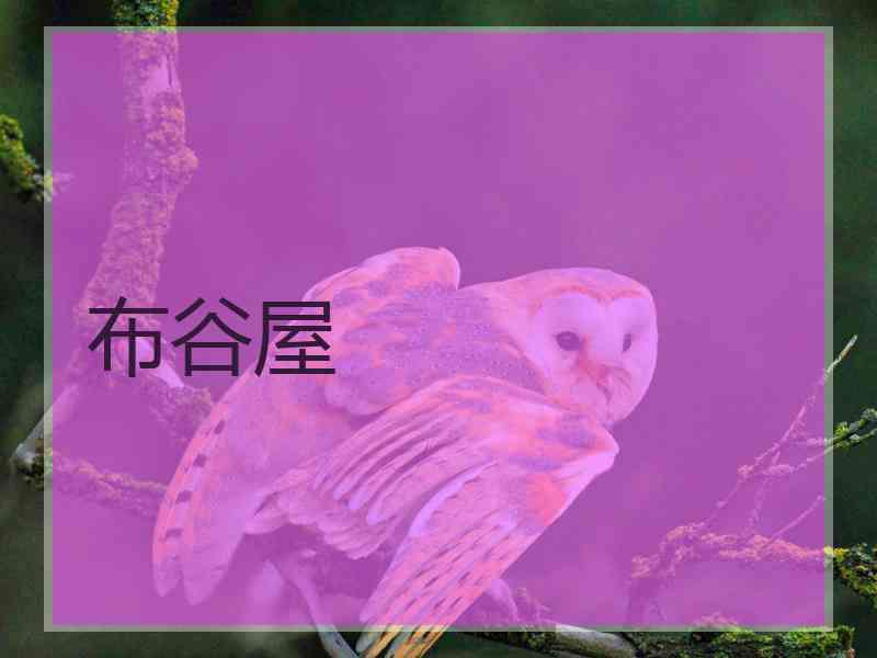 布谷屋