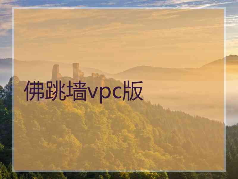 佛跳墙vpc版
