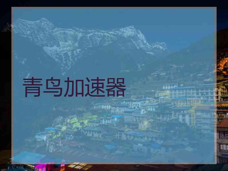 青鸟加速器