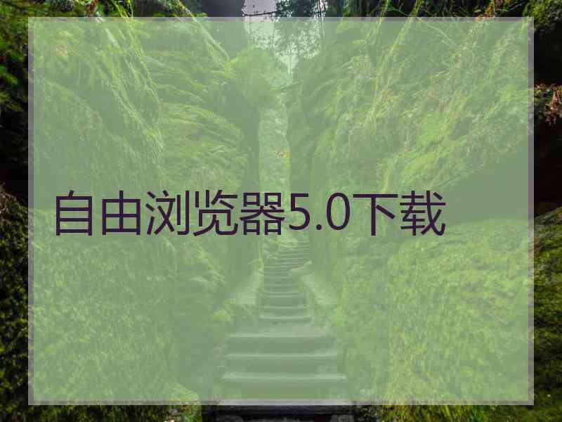 自由浏览器5.0下载