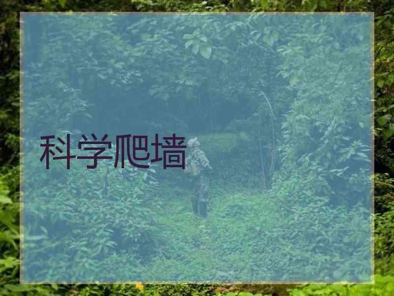 科学爬墙