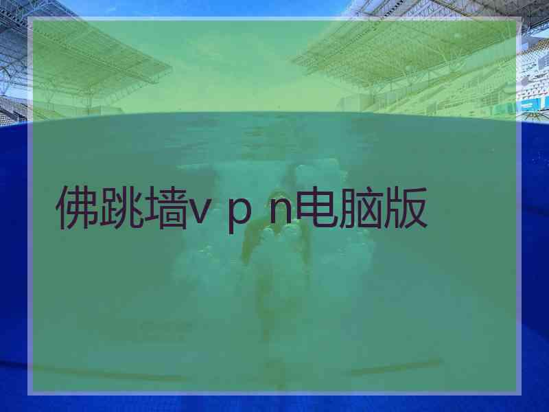 佛跳墙v p n电脑版