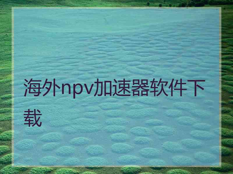 海外npv加速器软件下载