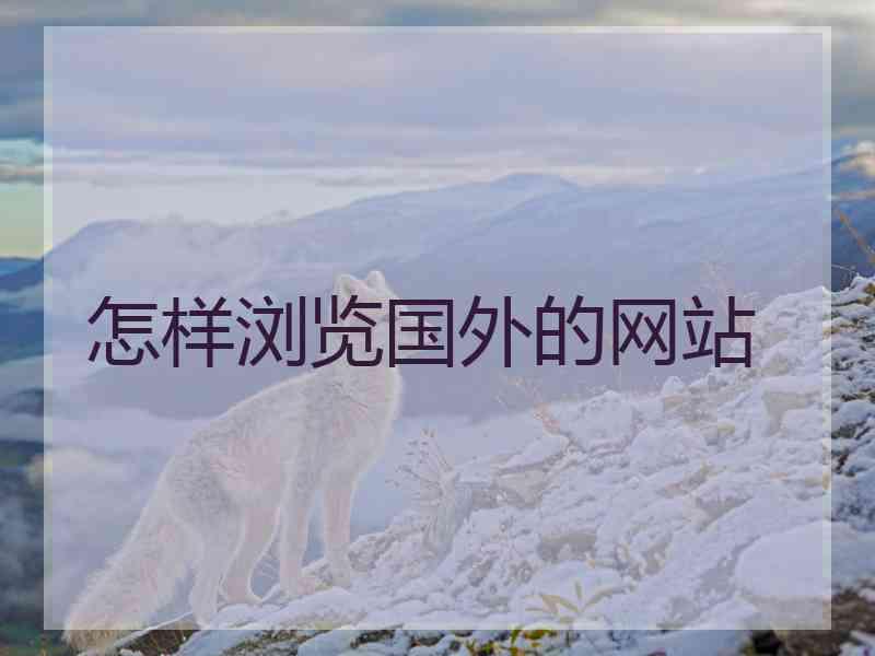 怎样浏览国外的网站