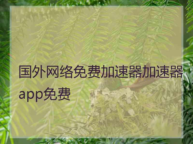 国外网络免费加速器加速器app免费
