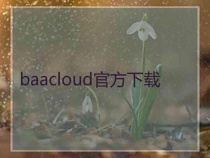baacloud官方下载