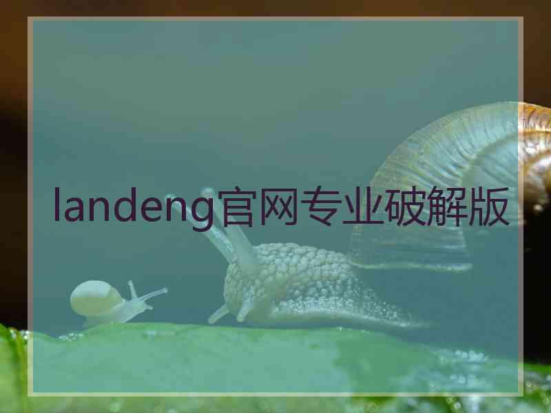 landeng官网专业破解版