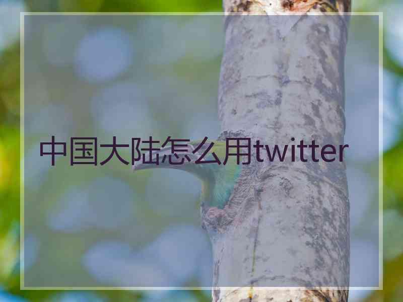 中国大陆怎么用twitter