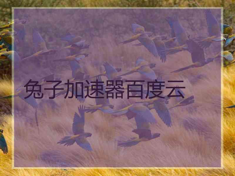 兔子加速器百度云