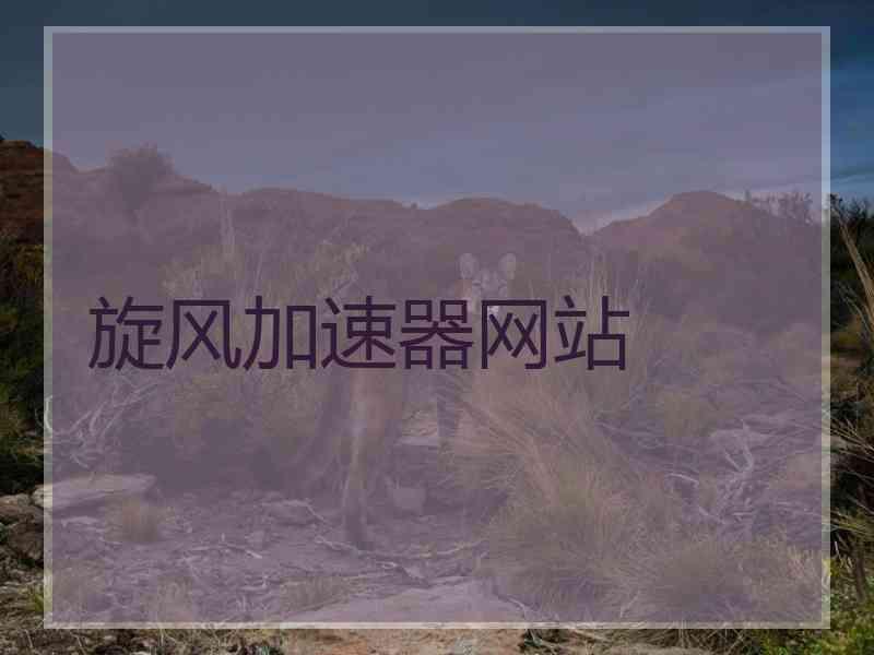 旋风加速器网站