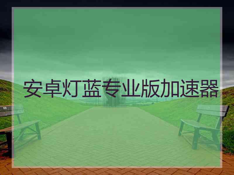 安卓灯蓝专业版加速器