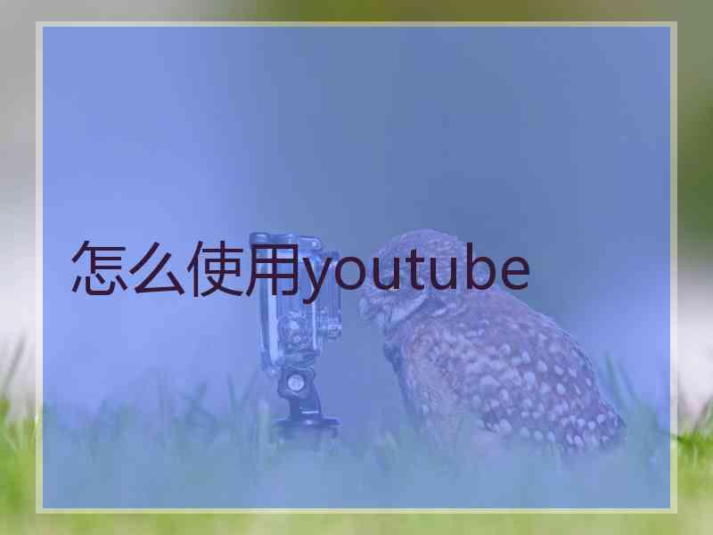怎么使用youtube