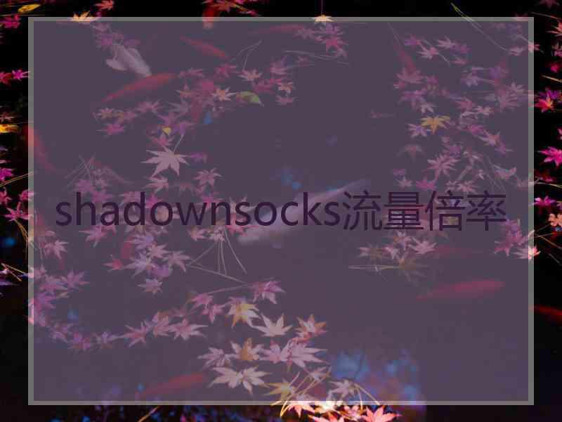 shadownsocks流量倍率