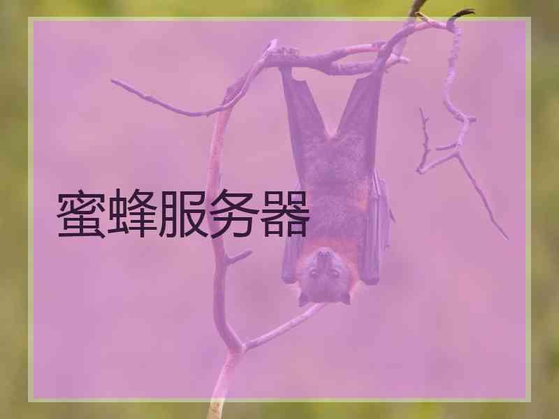 蜜蜂服务器