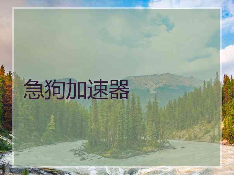 急狗加速器