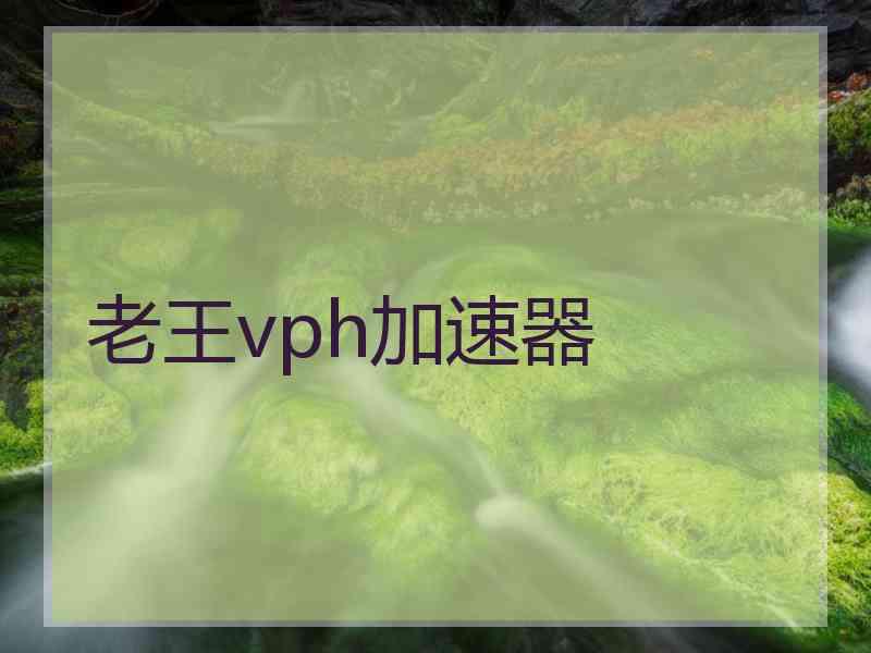 老王vph加速器