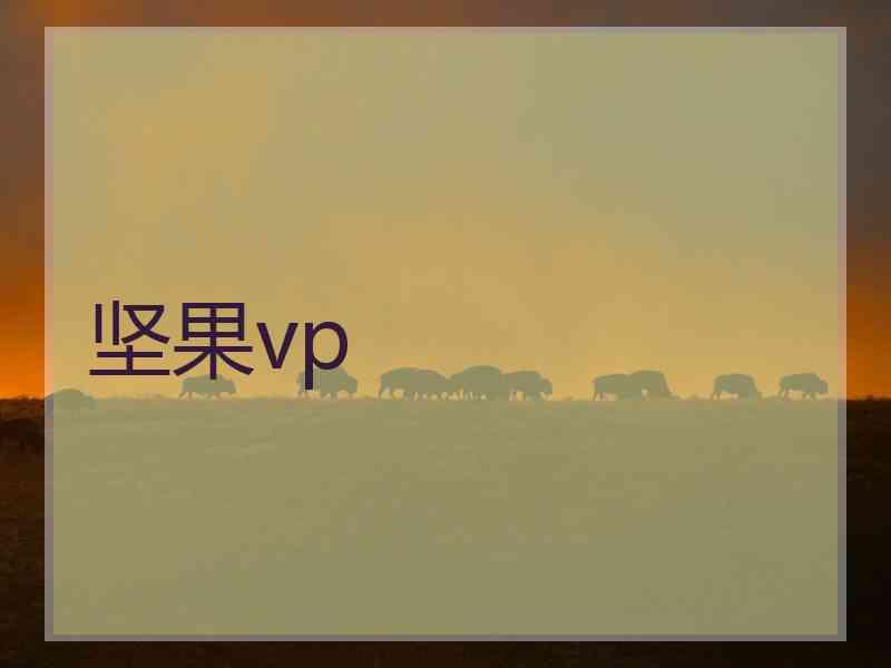 坚果vp